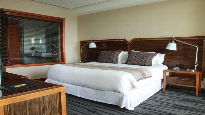 Hotel Dreams فالديفيا الغرفة الصورة A bedroom at the hotel